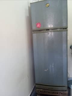 Fridge Large Size PEL