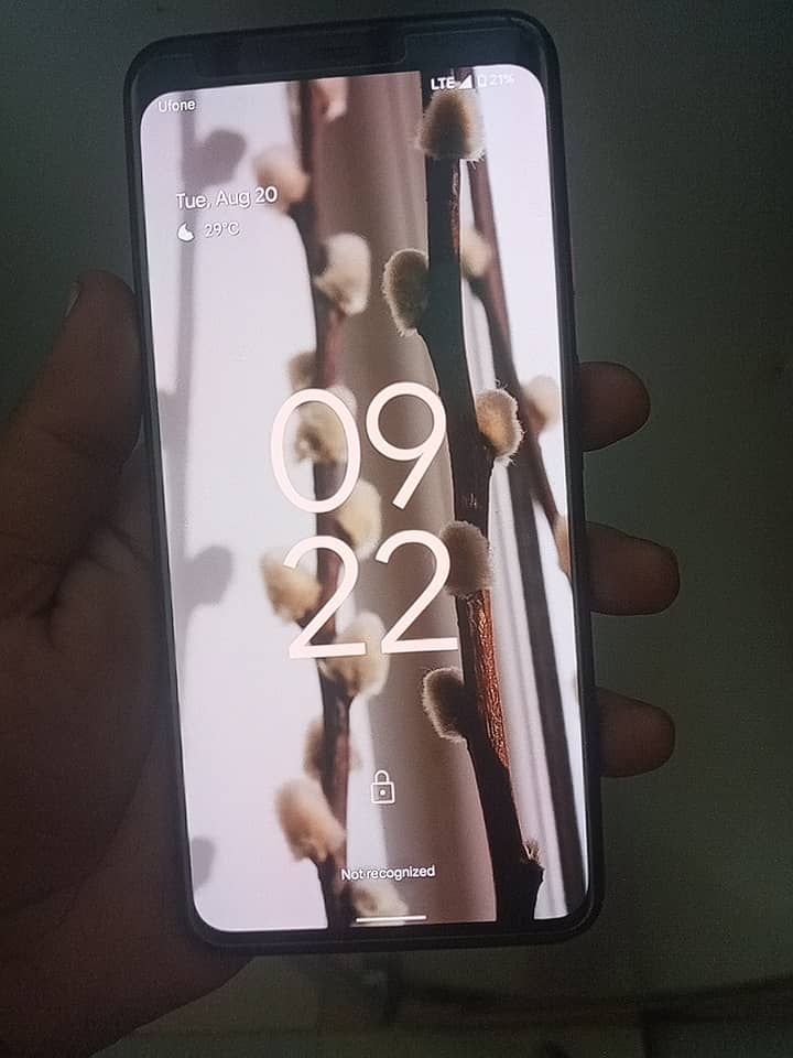 Google pixel 4xl 1