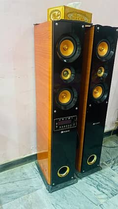 Speakers in excellent condition 2 years used