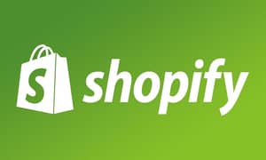 Shopify Developer Internship