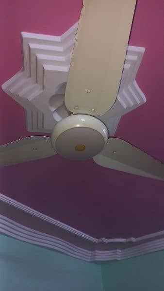 SK ceiling Fan 1