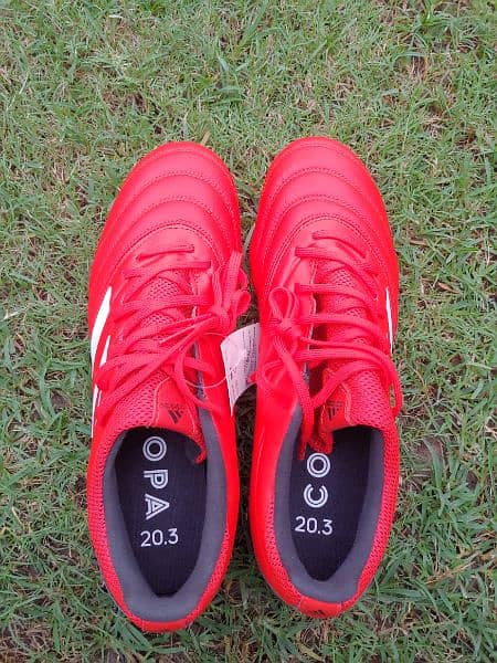 Copa 20.3 US import new 1