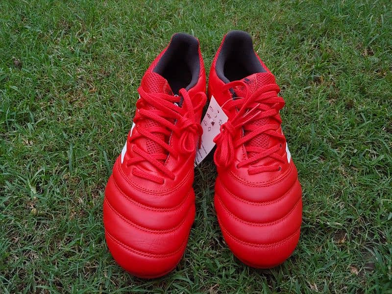 Copa 20.3 US import new 2