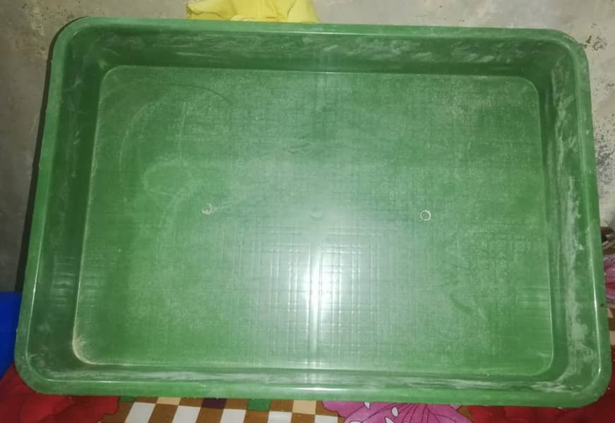 Mealworms P6 Trays 0