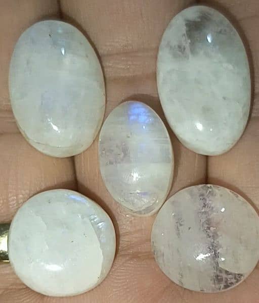 Opal Marjan Fossil Coral Stone Original Australian 19