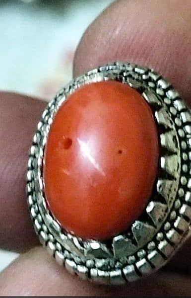 Opal Marjan Fossil Coral Stone Original Australian 18