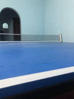 Table Tennis Table