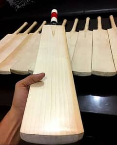 Cricket Hardball bat