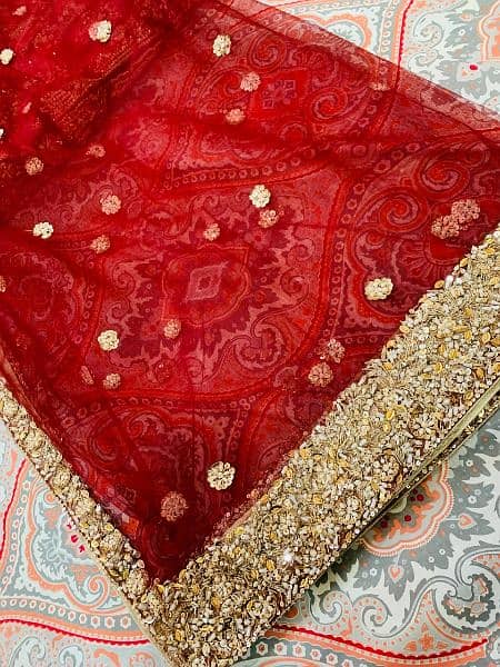 bridal lehnga heavy embroidery 5