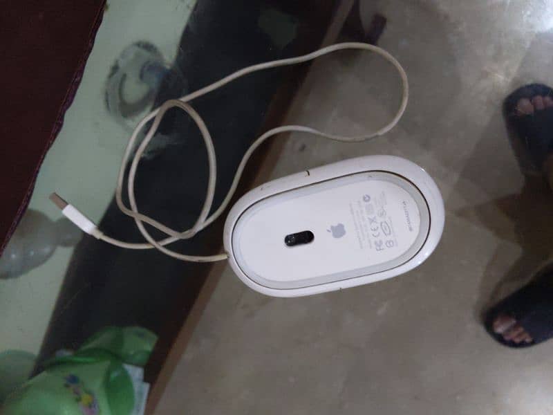 Apple Magic Mouse A1152 Wired USB 1