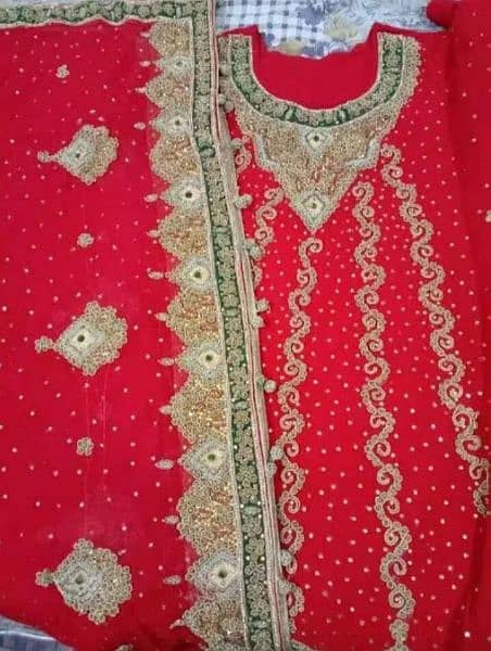 Bridal Sharara 2