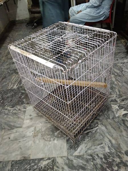 cage for sale 1