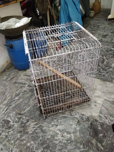 cage for sale 2