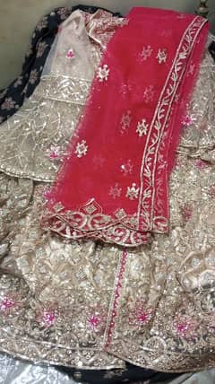 Fully Embroidered Beautiful Bridal Dress.