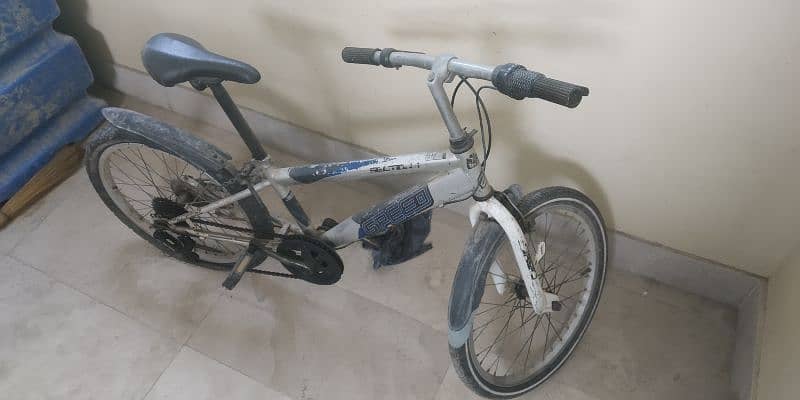 imported Bicycle 1