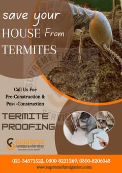 Fumigation / Termite Control / Tanks Cleaning 0