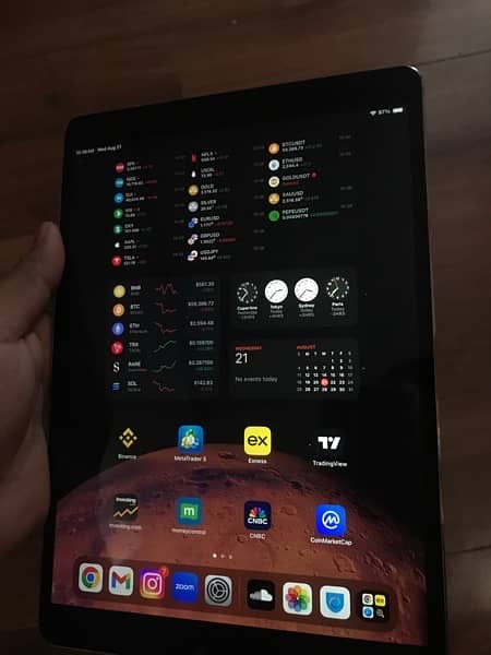 iPad pro (17) 3