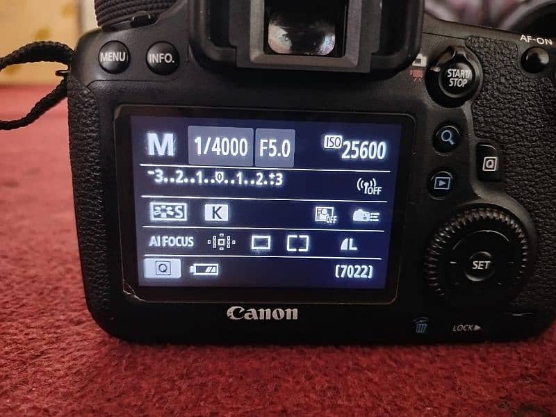 Canon 6D with 28-105mm lens 6