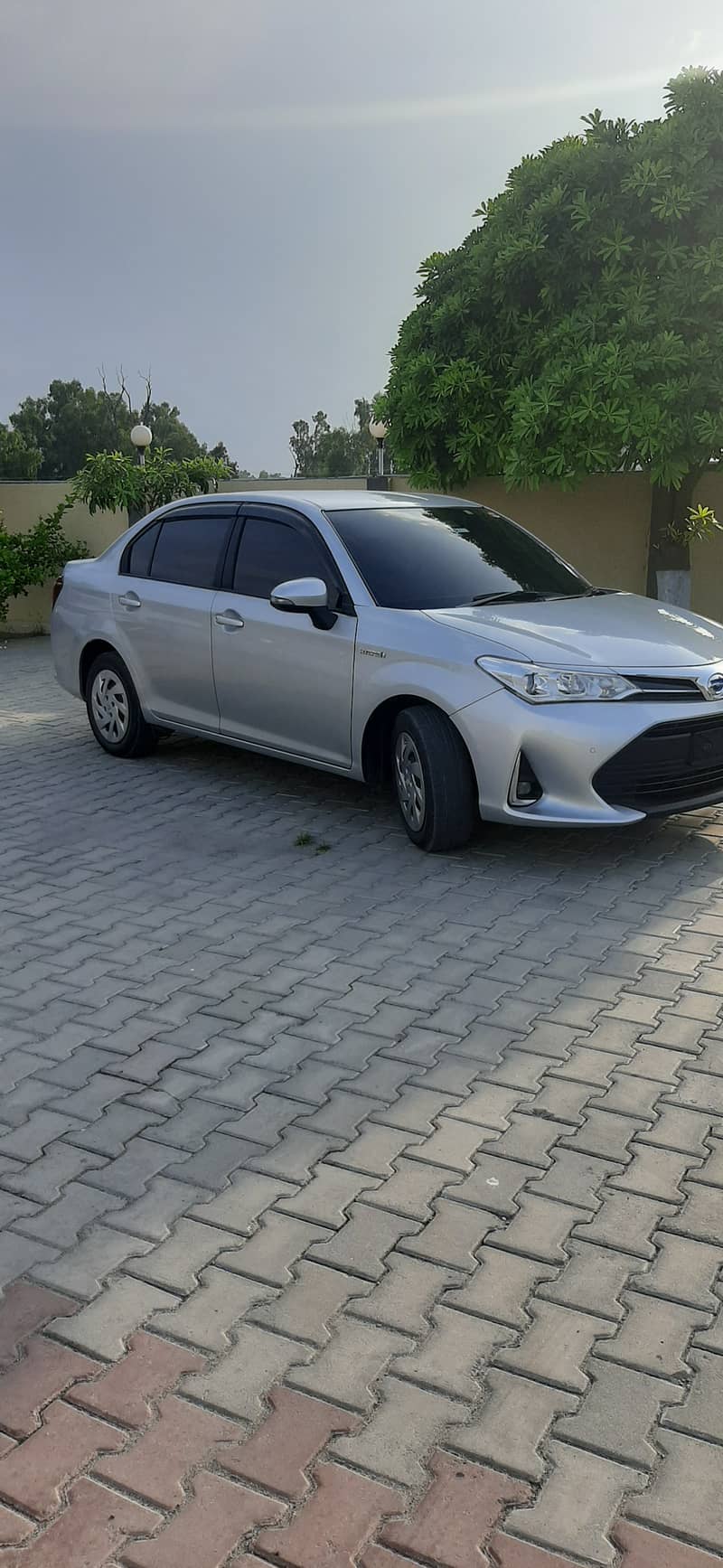 Toyota Corolla Axio 2018 2023 10