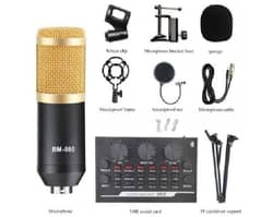 BM 800 microphone with V8 sound card