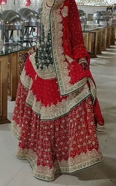 Bridal farshi Shararra 0