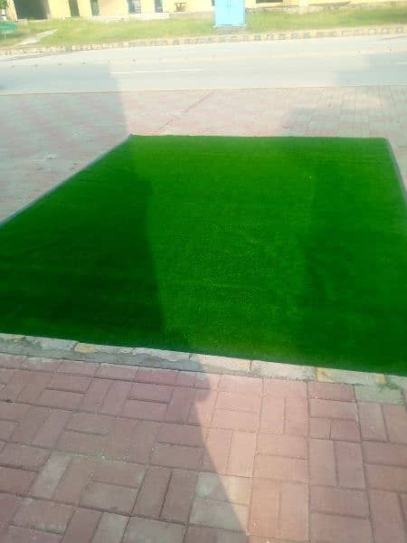 Artificial Grass 6