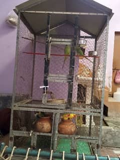 cage for sall condition ok location multan 0316.65. 95.565