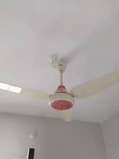 56" ceiling fan orient