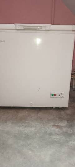 HAIER  D Freezer (on warranty)