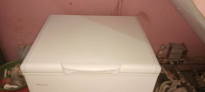 HAIER  D Freezer (on warranty) 1