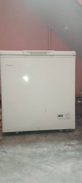 HAIER  D Freezer (on warranty) 5