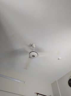 pak fan 56" ceiling fan 0