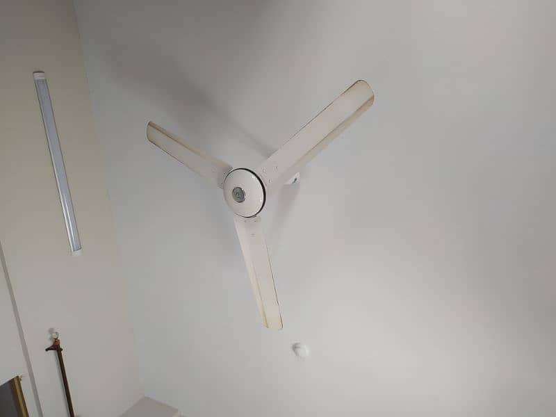 pak fan 56" ceiling fan 1