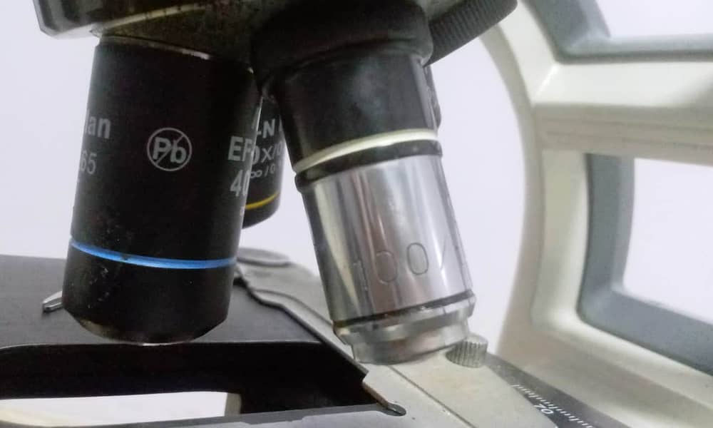 microscope BA 310 E series 4