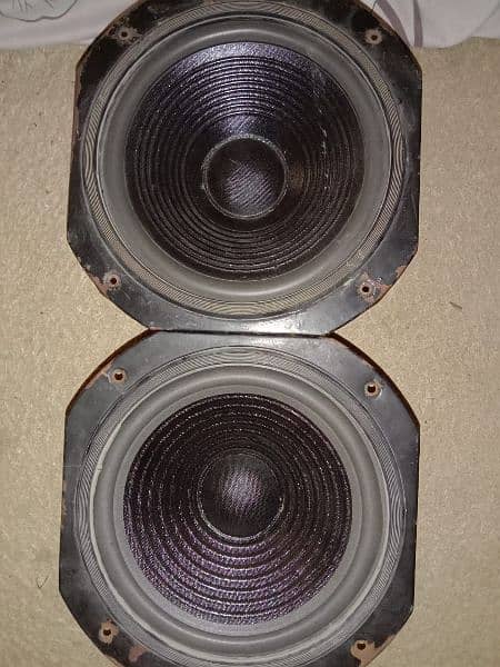 2 speaker 10 inch 0