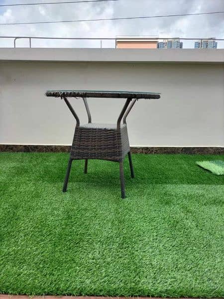 Artificial Grass 1