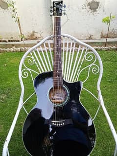 Tagima Woodstock TW - 29 Semi Acoustic Guitar.