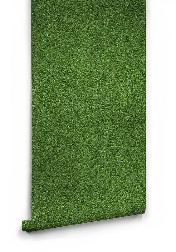 Artificial Grass / Astro truf / Grass /Feild grass / Grass Carpet 2