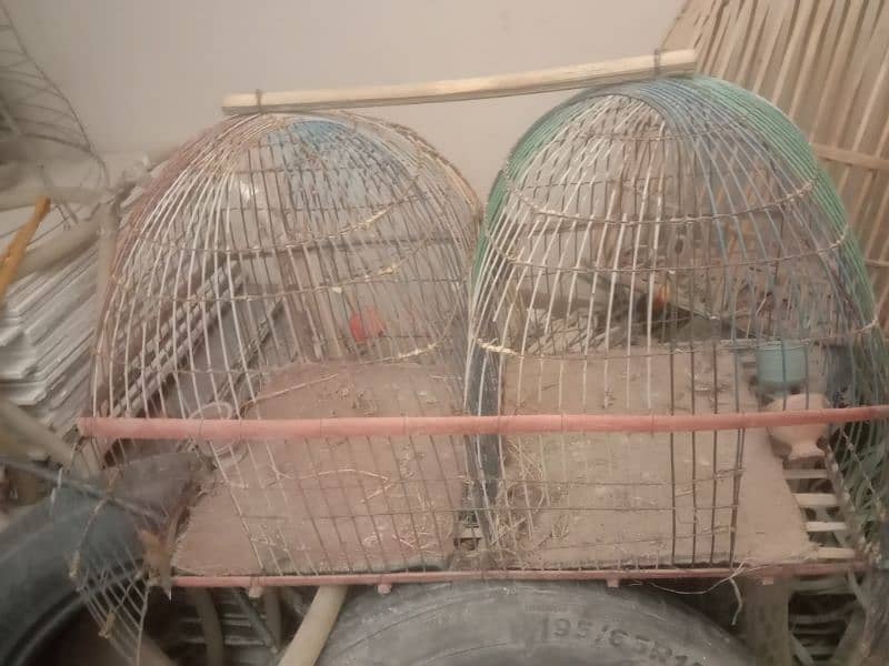 bird cages 4