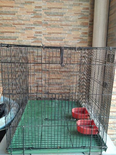 cage for sale 1