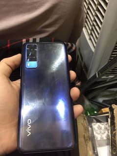 Vivo