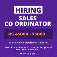 Sales Coordinater - Johar Town