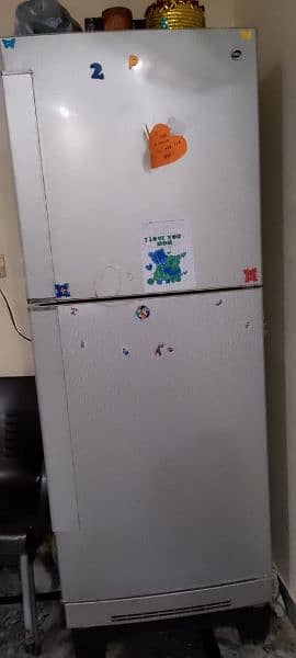 pel fridge 0