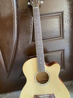 Japanese Guitar