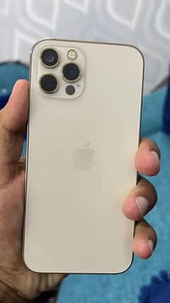 Iphone 12 pro dual physical pta approved