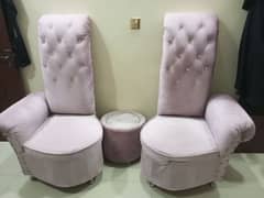 Fancy Room chairs