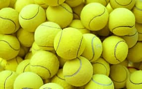 Tennis ball Premium quality