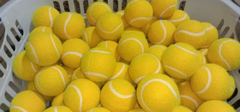 Tennis ball Premium quality 6