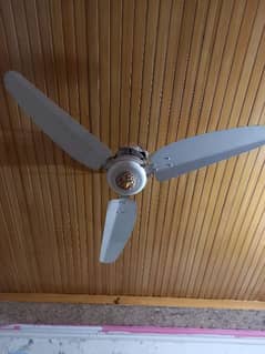 selling fan