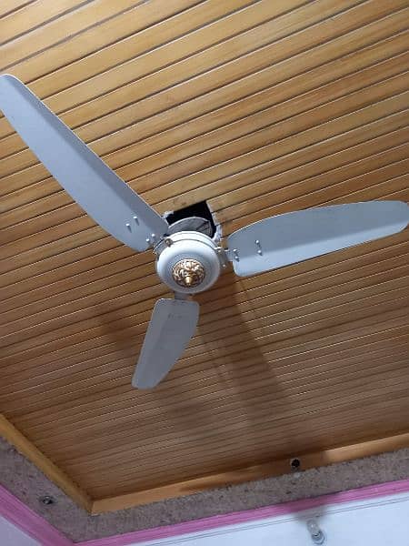 selling fan 2